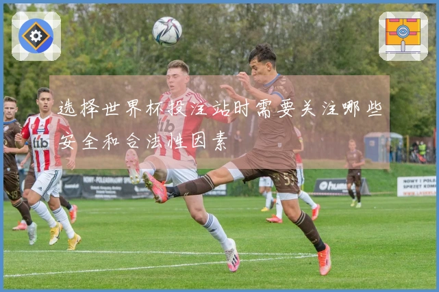 选择世界杯投注站时需要关注哪些安全和合法性因素