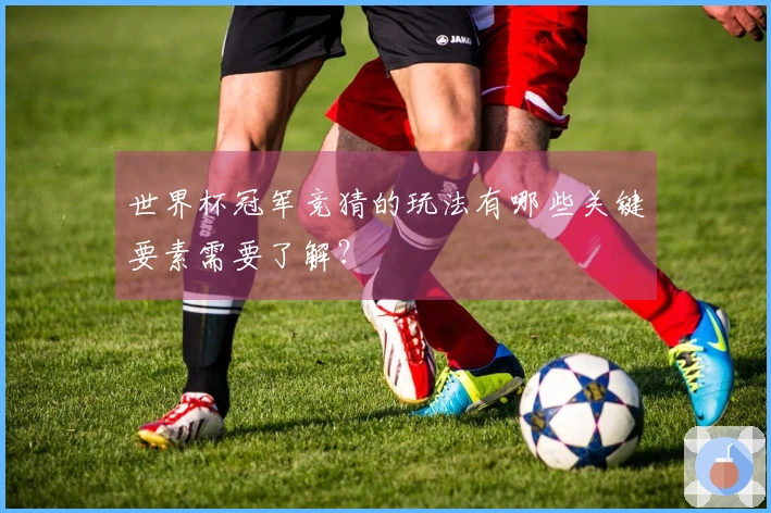 世界杯冠军竞猜的玩法有哪些关键要素需要了解？