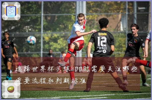 选择世界杯买球app时需要关注哪些重要流程和判断标准