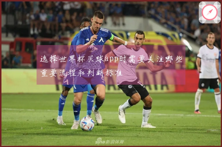 选择世界杯买球app时需要关注哪些重要流程和判断标准
