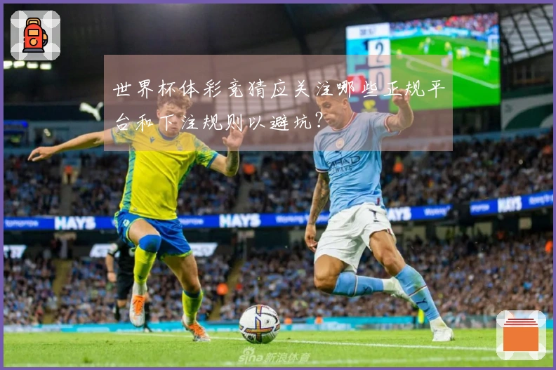 世界杯体彩竞猜应关注哪些正规平台和下注规则以避坑？