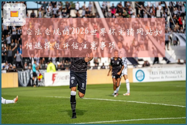 合法合规的2026世界杯竞猜网站如何选择与评估注意事项