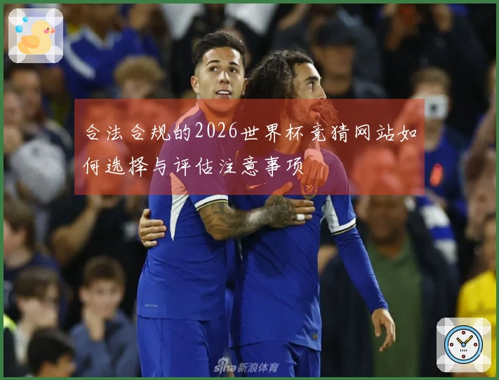 合法合规的2026世界杯竞猜网站如何选择与评估注意事项